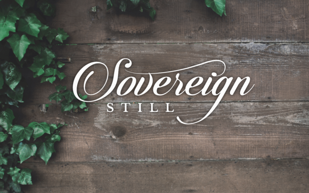Sovereign Still