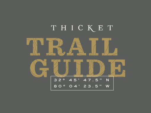 The Thicket Trail Guide